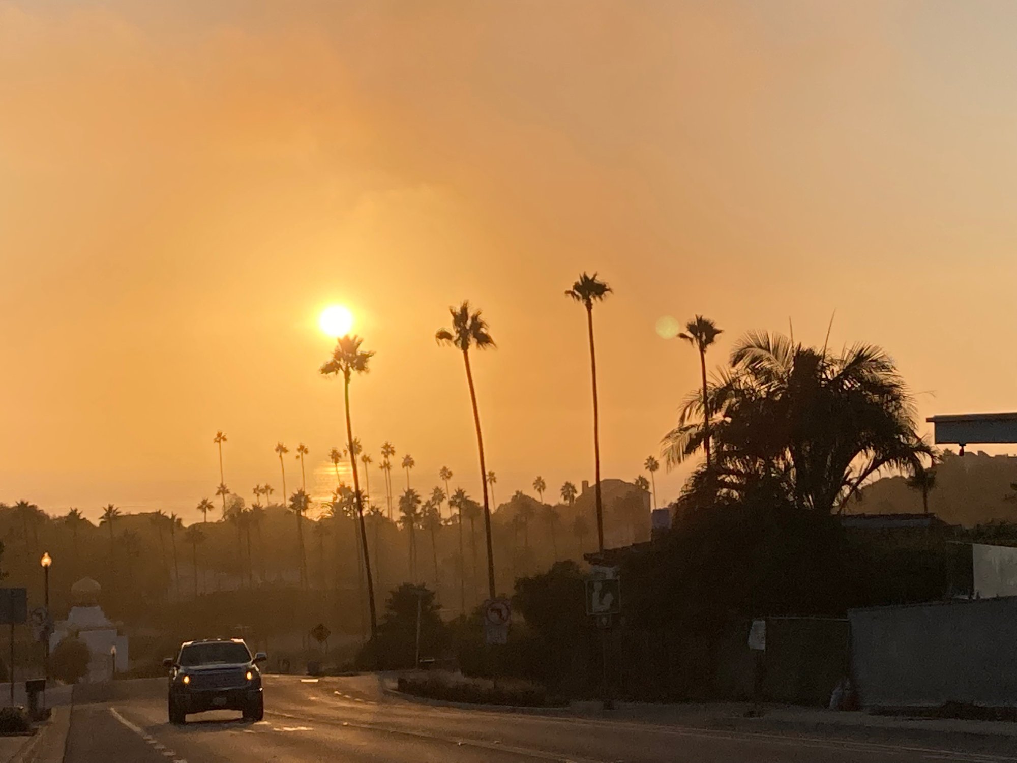 San Diego sunset with palm trees